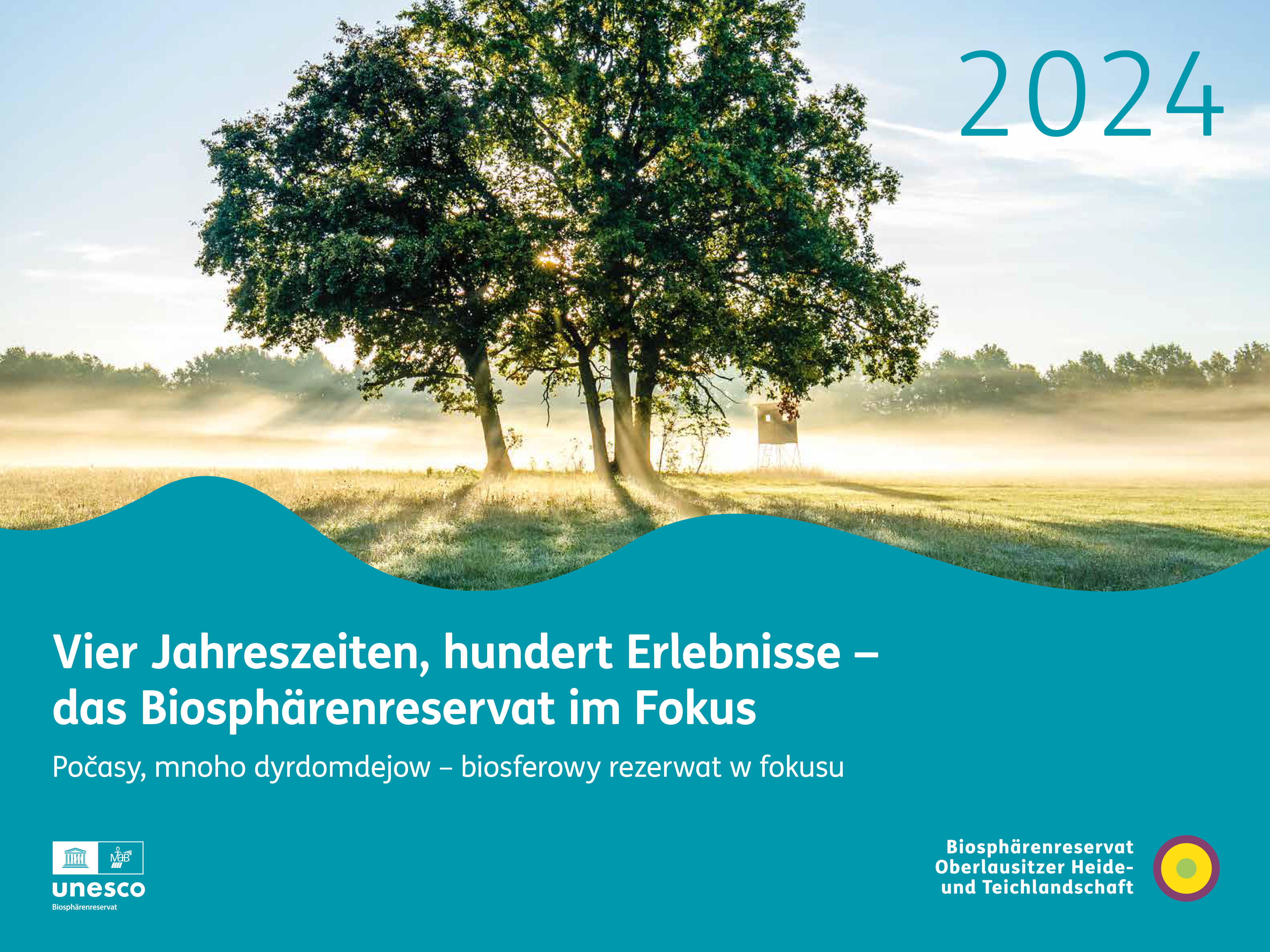 Das Titelbild des Fotokalenders 2024 zeigt eine Wiese im Sonnenlicht. In der Mitte der Wiese steht eine Baumgruppe um die herum das Sonnenlicht auf Morgennebel scheint. 