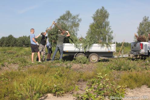 Landschaftspflegeeinsatz beim Aktionstag "genialsozial" im Biosphärenreservat