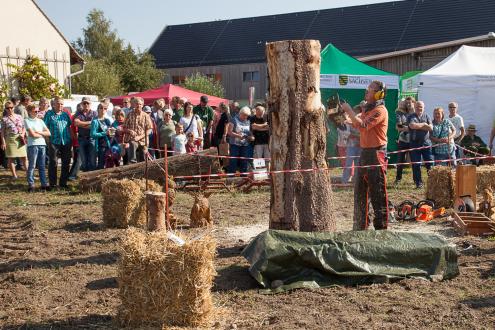 Kettensägenkunst beim Naturmarkt in Wartha (Foto: Ralf M. Schreyer)