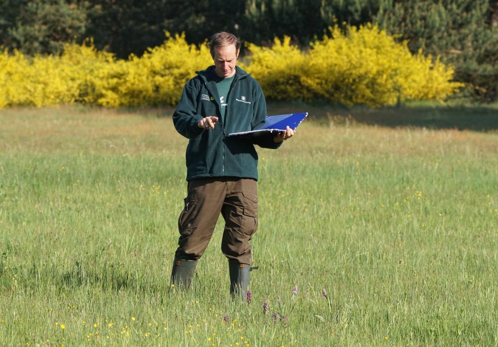 Mitarbeiter der Naturwacht beim Monitoring